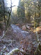 Silver Falls 12.10.05 022 